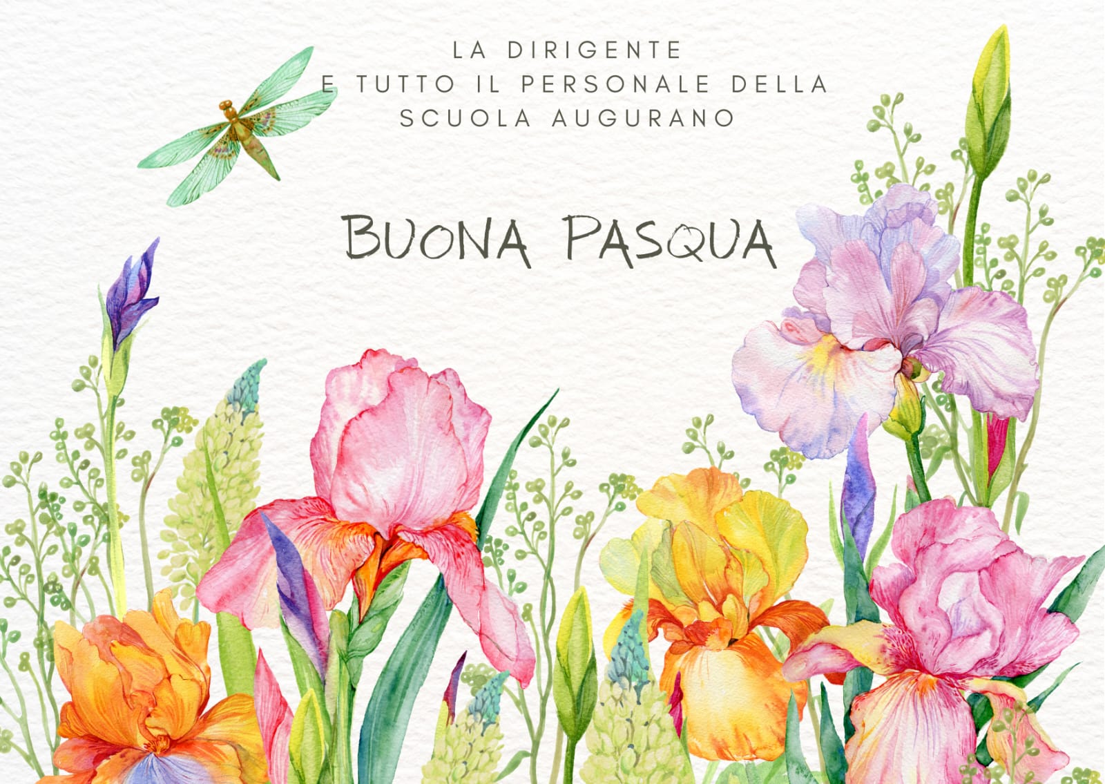 Buona Pasqua
